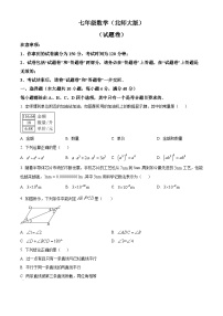 安徽省宿州市砀山县2023-2024学年七年级下学期期中数学试题