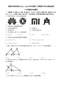 【八下BS数学】安徽省宿州市埇桥区教育集团2023-2024学年八年级下学期期中数学试题