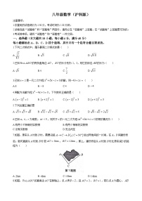 【八下HK数学】安徽省安庆市潜山市十校联考2023-2024学年八年级下学期期中数学试题