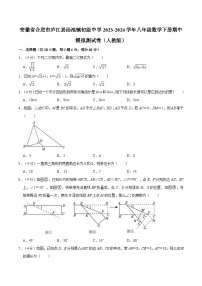 【八下RJ数学】安徽省合肥市庐江县汤池镇初级中学2023-2024学年八年级数学下学期期中模拟测试卷