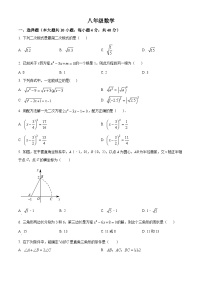 安徽省安庆市大观区第四中学2023-2024学年八年级下学期期中数学试题