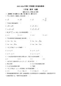 安徽省亳州市蒙城县2023-2024学年八年级下学期期中数学试题