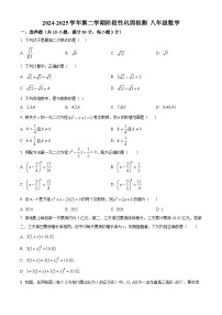 安徽省合肥市包河区2024-2025学年八年级下学期期中测试数学试卷