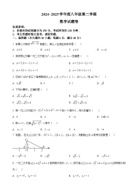 安徽省合肥市第三十八中学 2024-2025学年 八年级下学期期中数学卷