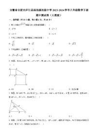 安徽省合肥市庐江县汤池镇初级中学2023-2024学年八年级下学期期中数学试题