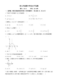 九年级上学期期中数学试题(人教版)