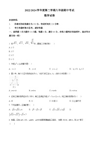 安徽省合肥市瑶海区2023-2024学年八年级下学期期中数学试题