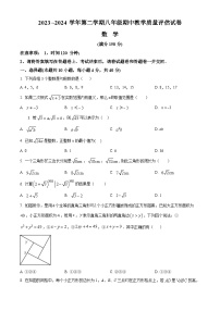 安徽省芜湖市镜湖区芜湖市第二十九中学2023-2024学年下学期八年级期中数学试题