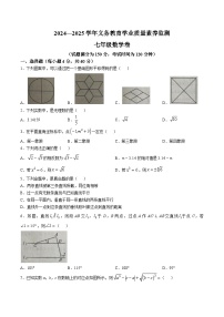 山东省德州市陵城区2024-2025学年七年级下学期期中考试数学试卷(含解析)