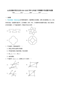 山东省德州市庆云县2024-2025学年七年级下学期期中考试数学试卷(含解析）