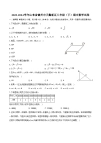 山东省德州市天衢新区2023-2024学年八年级下学期7月期末考试数学试卷(含答案)