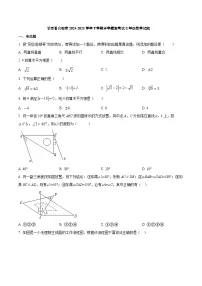 甘肃省白银市2024-2025学年七年级下学期开学摸底考试数学试卷(含答案)