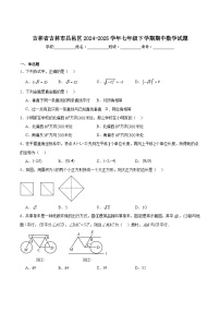 吉林省吉林市昌邑区2024-2025学年七年级下学期期中考试数学试卷(含解析)