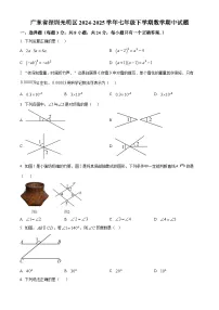广东省深圳市光明区2024-2025学年+七年级下学期期中数学试题【试题+答案+解析】