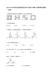 2024~2025学年河北保定定州七年级下册4月期中数学试题【带答案】