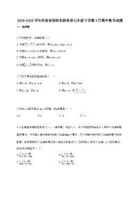 2024~2025学年河南洛阳新安县七年级下册4月期中数学试题【带答案】
