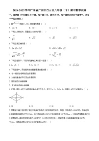 广东省广州市白云区2024-2025学年八年级下学期数学期中试卷及答案解析