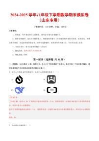 2024-2025学年八年级下学期期末考试 数学试题（山东专用）(含答案)