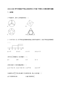 2024_2025学年 河南省平顶山市汝州市八年 级下学期6月期末数学试卷