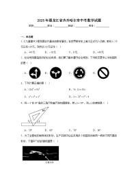 2025年黑龙江省齐齐哈尔市中考数学试题（无答案）