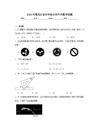 2025年黑龙江省齐齐哈尔市中考数学试题(无答案)