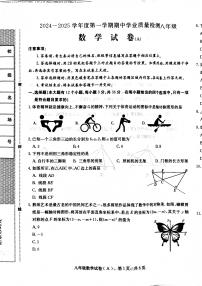 河北省石家庄市赵县2024-2025学年八年级上学期11月期中数学试题