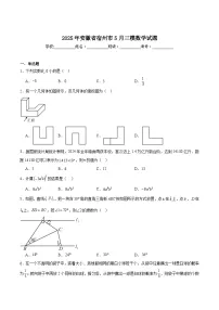 安徽省宿州市2025届九年级下学期5月中考三模数学试卷(含解析)