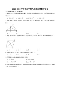 甘肃省武威市凉州区武威十七中、十二中2025届九年级下学期中考二模数学试卷(含答案)