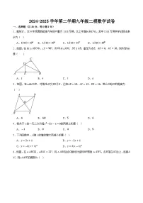 甘肃省武威市凉州区武威十七中、十二中2025届九年级下学期中考二模数学试卷(含答案)