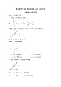 期末高频考点分类巩固训练2024-2025学年人教版数学七年级下册+答案