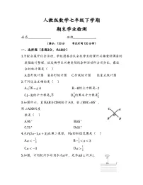 2024-2025学年人教版数学七年级下册期末测试卷+答案