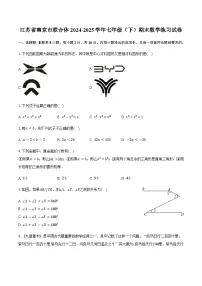 江苏省南京市联合体2024-2025学年七年级（下）期末数学练习试卷