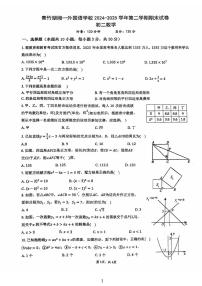 2024-2025学年青竹湖湘一外国语学校八年级（下）期末数学试卷