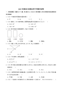 2025年黑龙江省绥化市中考数学试卷及答案