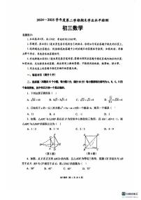 山东省烟台市莱阳市2024-2025学年下学期期末学业水平检测九年级数学试题