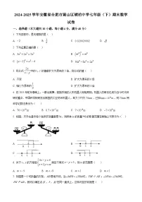 安徽省合肥市蜀山区琥珀中学2024-2025学年七年级下学期期末数学试卷