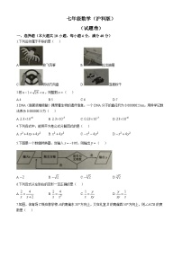 【七下HK数学】安徽省合肥市新站高新区合肥三十中联考2024-2025学年七年级下学期期末数学试卷