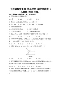 七年级数学下册 第二学期 期中测试卷（人教版 2025年春）