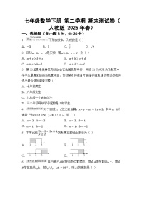 七年级数学下册 第二学期 期末测试卷（人教版 2025年春）