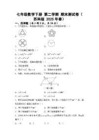 七年级数学下册 第二学期 期末测试卷（苏科版 2025年春）