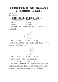 七年级数学下册 第二学期 期末综合测试卷（北师陕西版 2025年春）