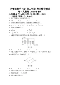八年级数学下册 第二学期 期末综合测试卷（人教版 2025年春）