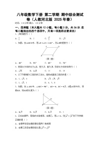 八年级数学下册 第二学期 期中综合测试卷（人教河北版 2025年春）