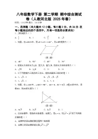 八年级数学下册 第二学期 期中综合测试卷（人教河北版 2025年春）