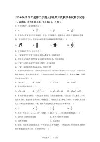2025年广东省揭阳实验学校九年级第三次模拟考试数学试题[附答案]