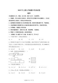 湖南省永州市道县2024~2025学年九年级下学期期中考试数学试题[附答案]
