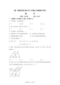 湖南省岳阳市湘一南湖学校2024--2025学年上学期七年级期中考试数学试题[附答案]