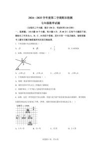 重庆市潼南区2024--2025学年上学期七年级数学期末考试题[附答案]