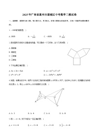 2025年广东省惠州市惠城区中考数学二模试卷（含答案）