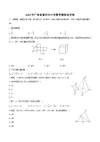 2025年广东省惠州市中考数学模拟收关卷(含答案)